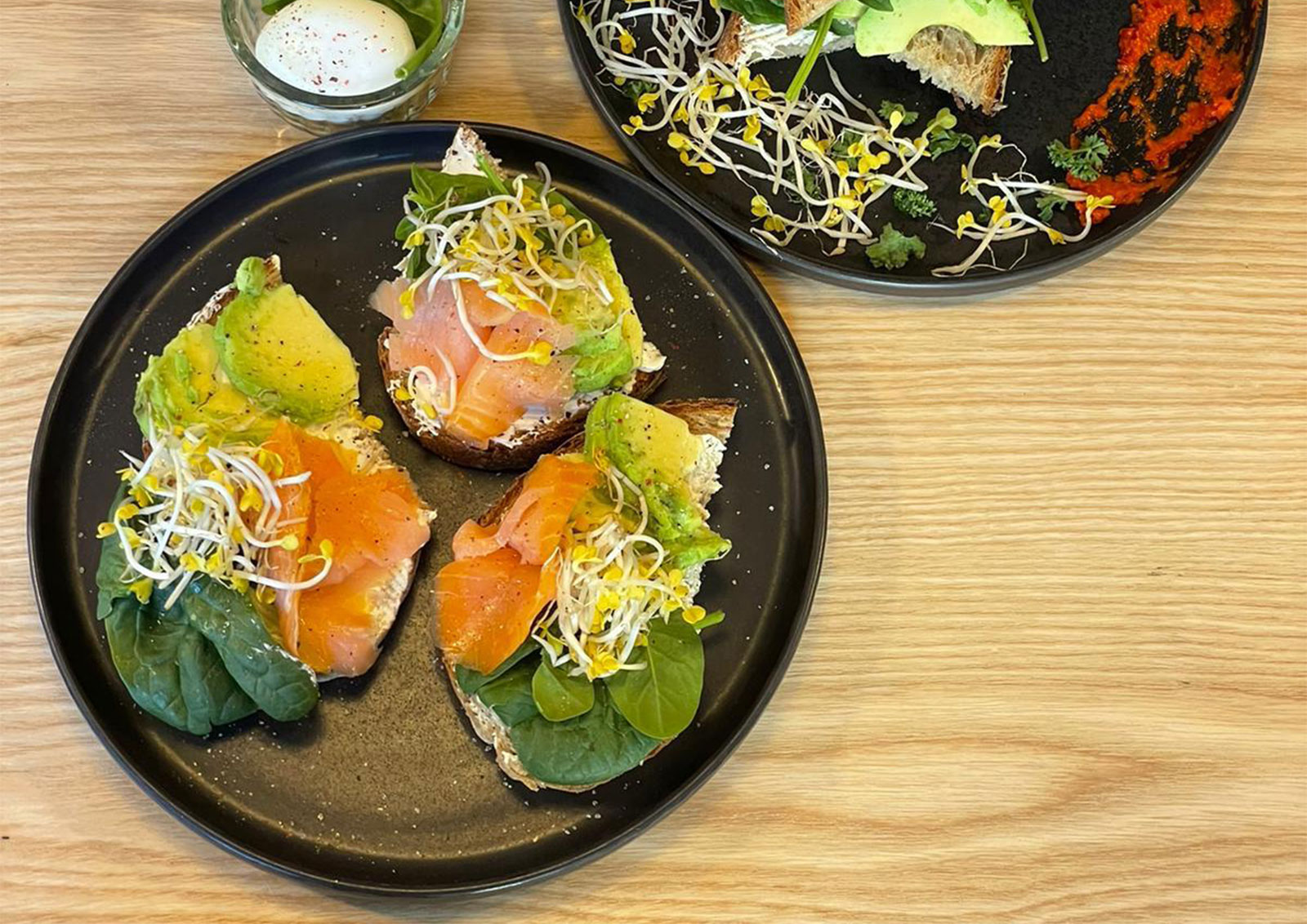 Avocadoblog